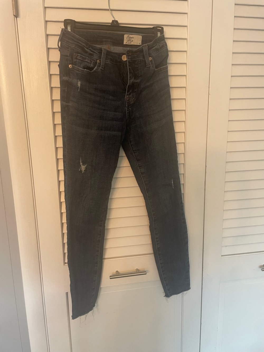 Coastal Blue Skinny Jeans in Dark Denim